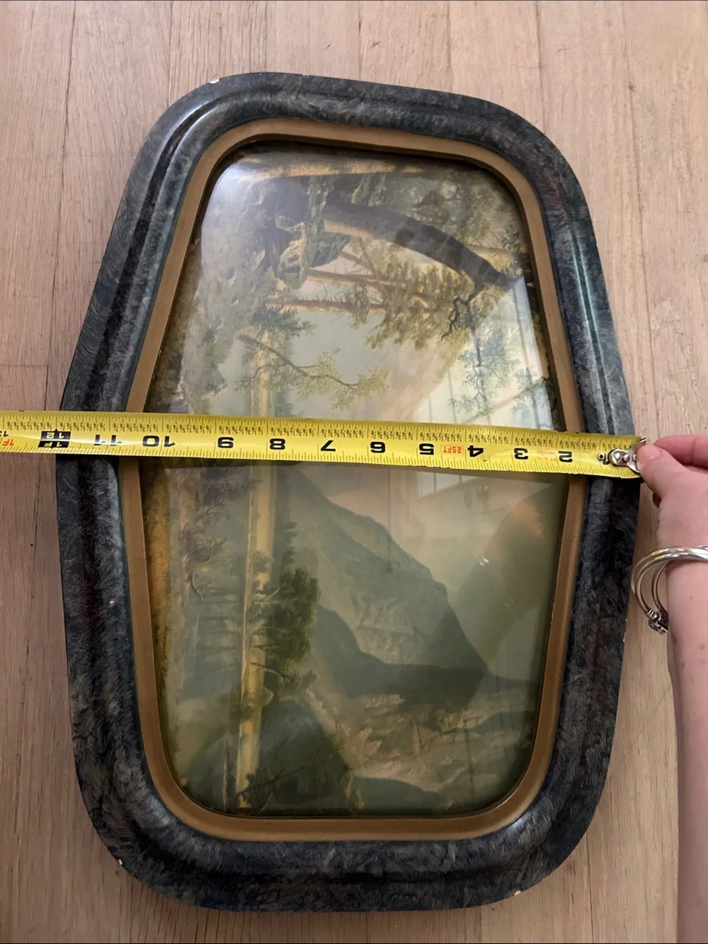 True Vintage Early 1900's Landscape Wall Art-Framed Yosemite Mountain Lake Print